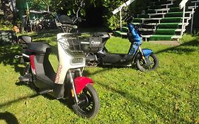 Ранчо -басейн,тераса, квіти, сад